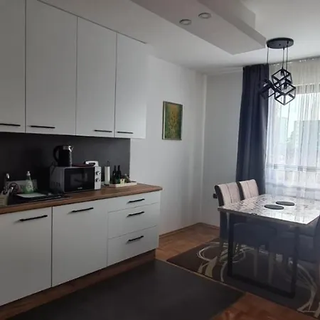 Mika Apartment *